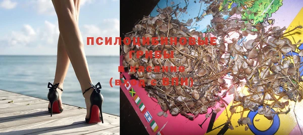 амф Баксан